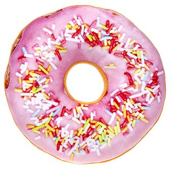 PRINTED DONUT PLUSH 24CM Image 1++